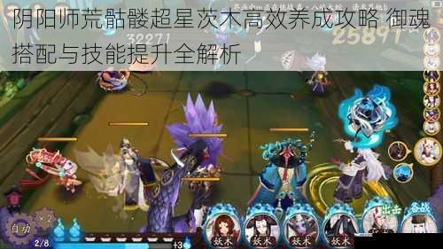 阴阳师荒骷髅超星茨木高效养成攻略 御魂搭配与技能提升全解析